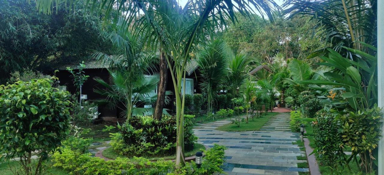 Jp Resort Arambol Exteriör bild