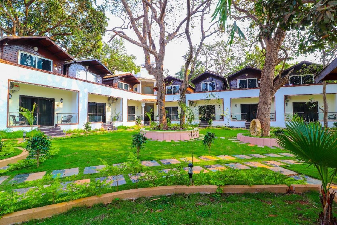 Jp Resort Arambol Exteriör bild